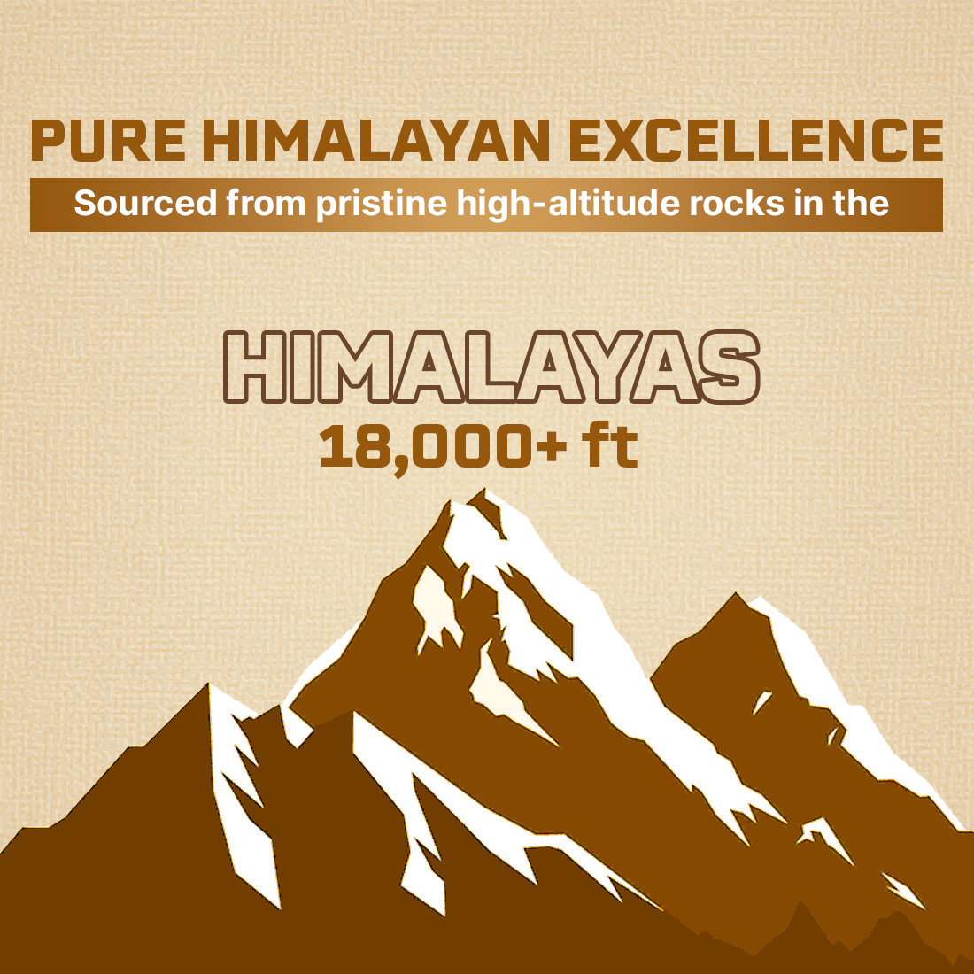Lonust HIMALAYAN SHILAJIT+ CAPSULES 60N