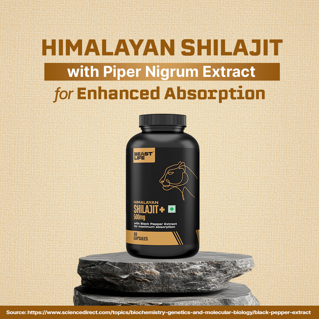Lonust HIMALAYAN SHILAJIT+ CAPSULES 60N