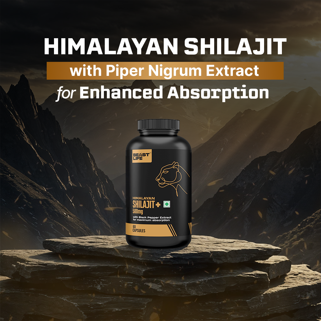Lonust HIMALAYAN SHILAJIT+ CAPSULES 60N