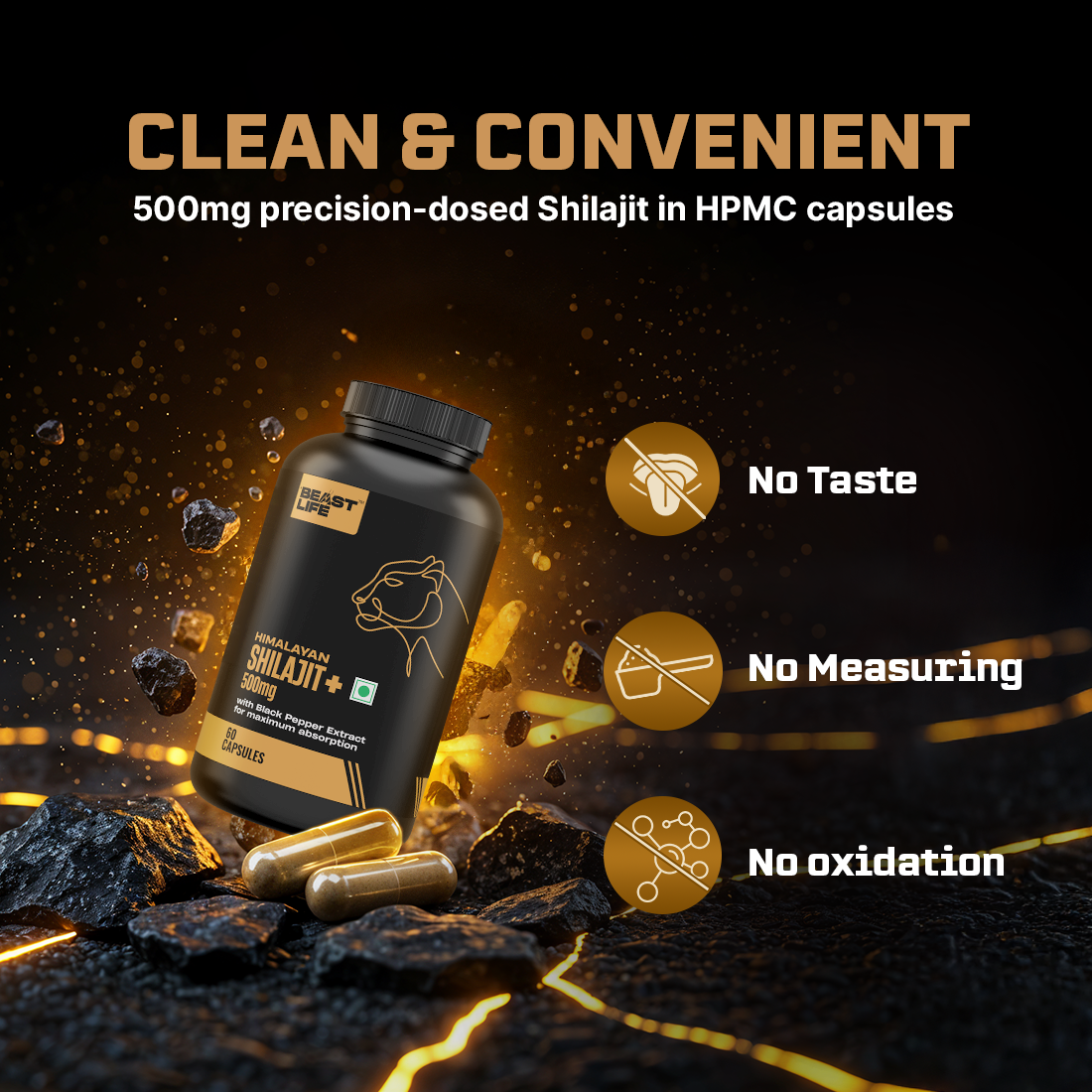 Lonust HIMALAYAN SHILAJIT+ CAPSULES 60N