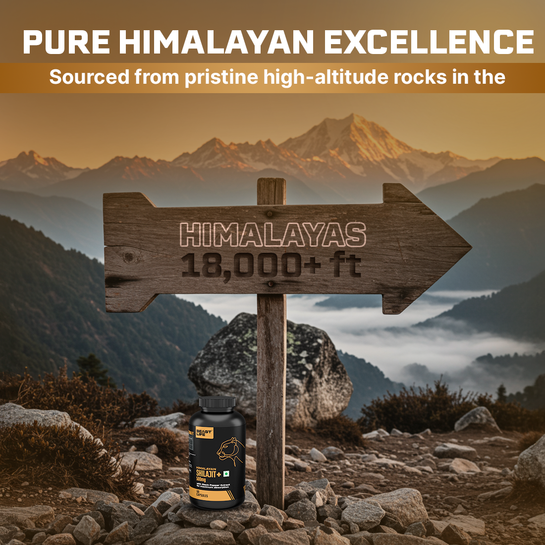 Lonust HIMALAYAN SHILAJIT+ CAPSULES 60N
