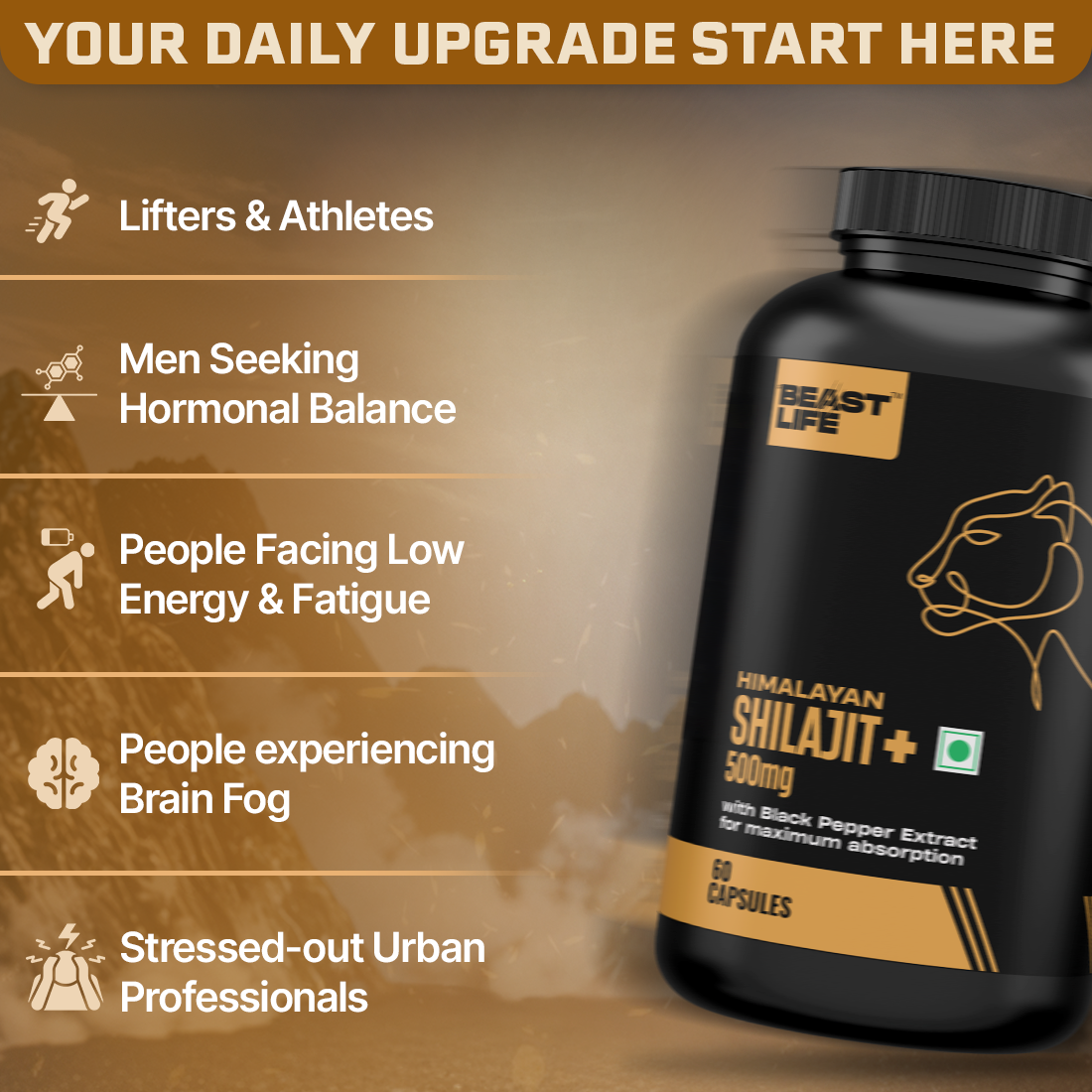 Lonust HIMALAYAN SHILAJIT+ CAPSULES 60N