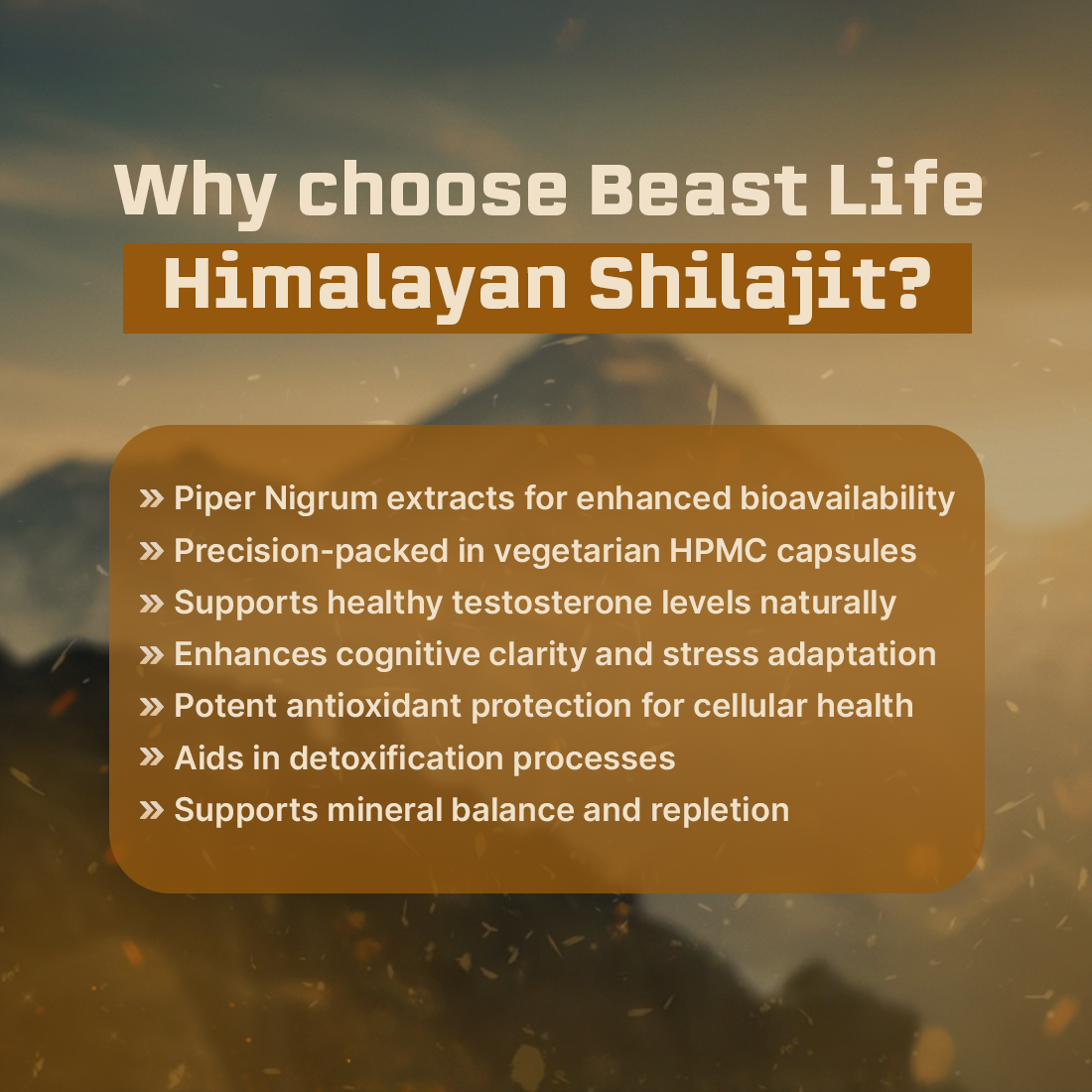 Lonust HIMALAYAN SHILAJIT+ CAPSULES 60N
