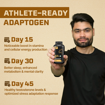 Lonust HIMALAYAN SHILAJIT+ CAPSULES 60N