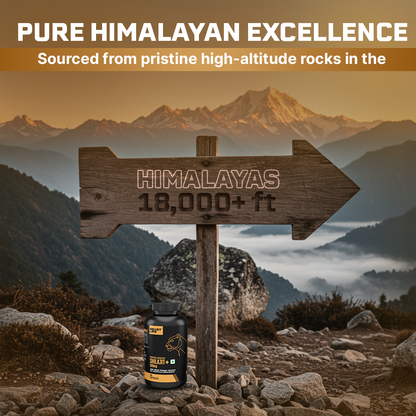 Lonust HIMALAYAN SHILAJIT+ CAPSULES 60N